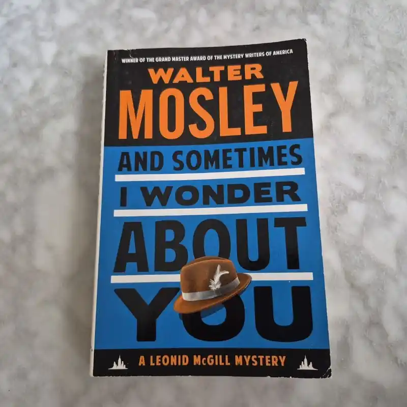 And Sometimes I Wonder about You - Walter Mosley Special Offer