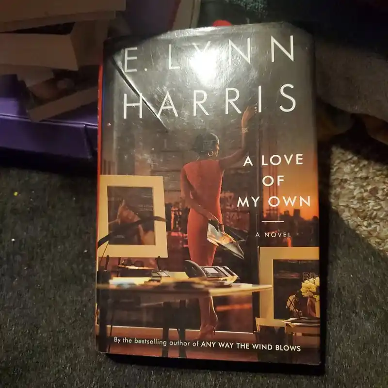 Flash Sale A Love of My Own - E. Lynn Harris