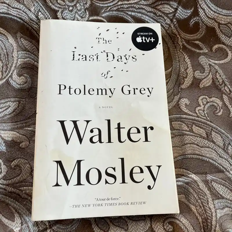 The Last Days of Ptolemy Grey - Walter Mosley Best Choice