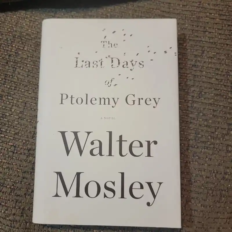 Best Choice Recently Viewed - Walter Mosley