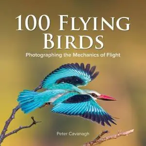 100 Flying Birds Must Have
