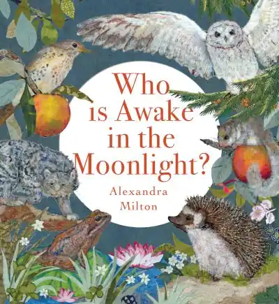 Who Is Awake in the Moonlight? High Quality