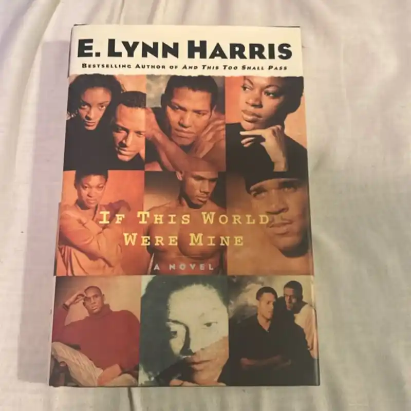 High Quality Recently Viewed - E. Lynn Harris