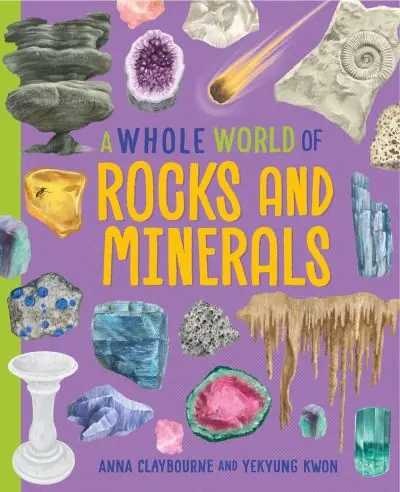 A Whole World of Rocks and Minerals Bulk Order