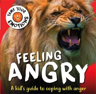 Feeling Angry Price Cut