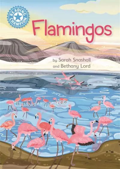 Discount Flamingos