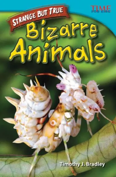 Direct From Factory Bizarre Animals