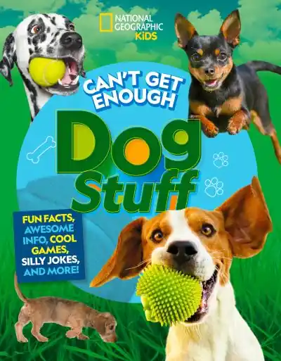 Secure Checkout Can't Get Enough Dog Stuff