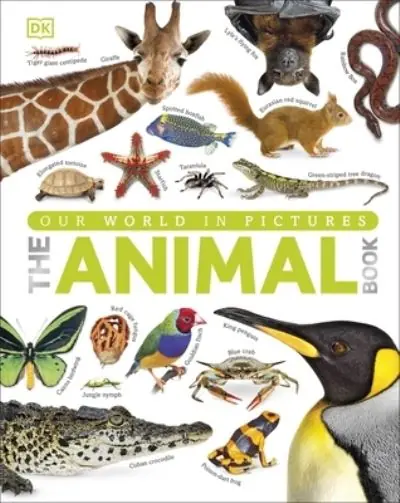Fresh Stock The Animal Book