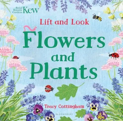 Flowers and Plants Certified