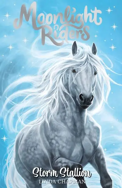 Storm Stallion Big Sale