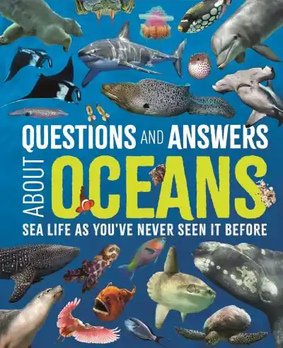 Questions and Answers About Oceans Flash Sale
