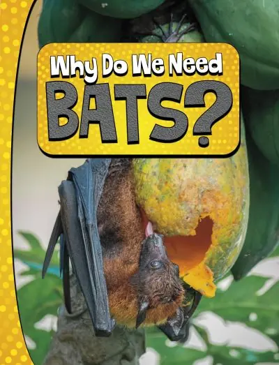 Warranty Included Why Do We Need Bats?