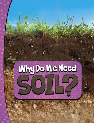 Why Do We Need Soil? Buy Direct