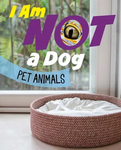 I Am Not a Dog Best Choice