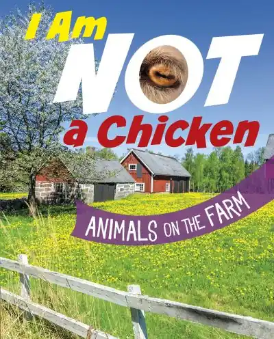 I Am Not a Chicken Direct From Factory