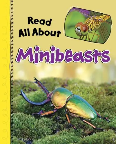 Read All About Minibeasts Express Delivery