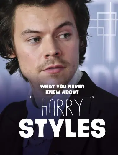 What You Never Knew About Harry Styles Seasonal Sale
