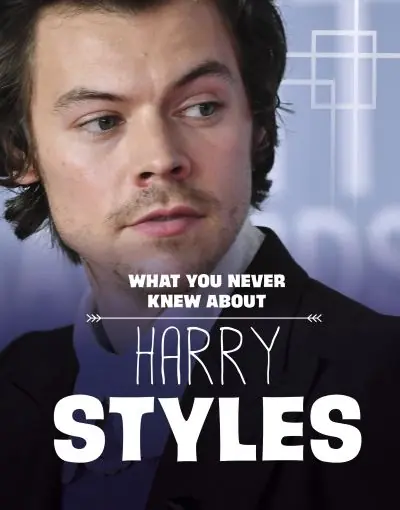 What You Never Knew About Harry Styles Direct From Manufacturer