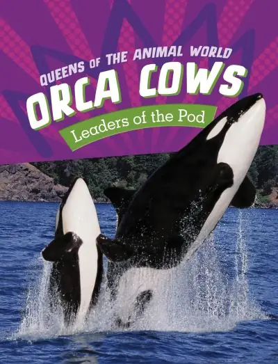 Handmade Orca Cows