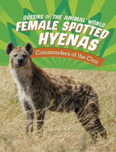 Female Spotted Hyenas New Release