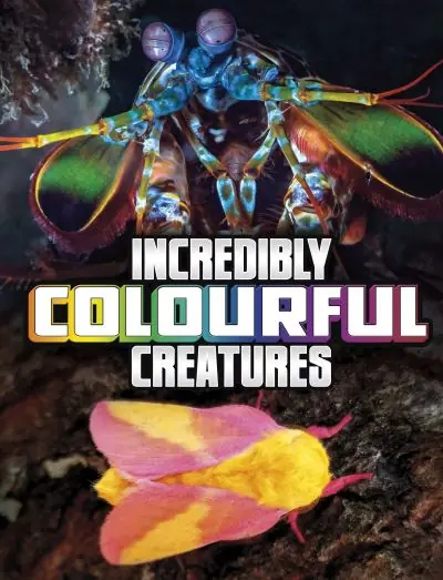 Grab Now Incredibly Colourful Creatures