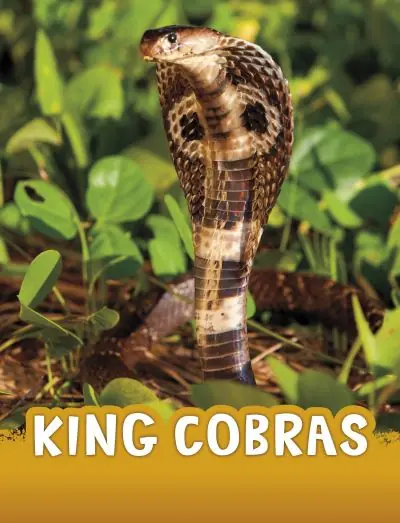 King Cobras Free Returns