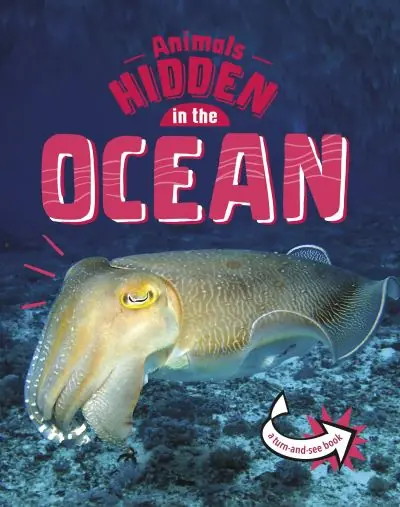 Express Delivery Animals Hidden in the Ocean