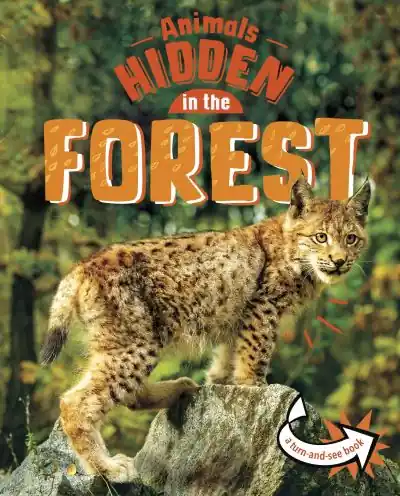 Animals Hidden in the Forest Final Sale