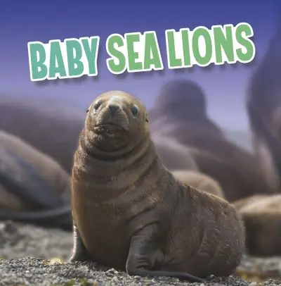Luxury Baby Sea Lions