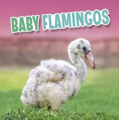 Baby Flamingos Express Delivery