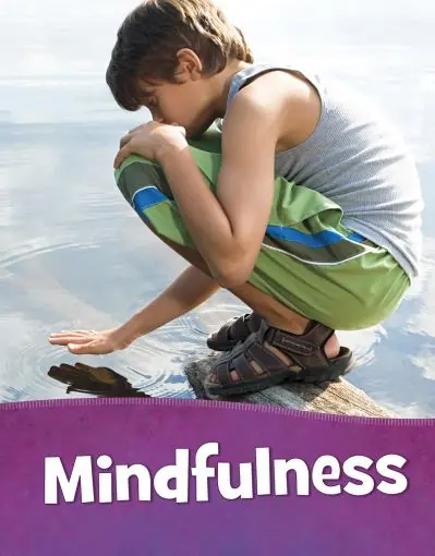 Buy Direct Mindfulness