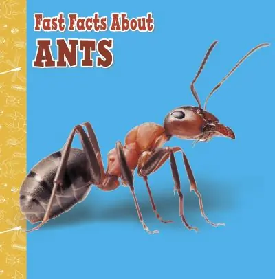 Premium Fast Facts About Ants
