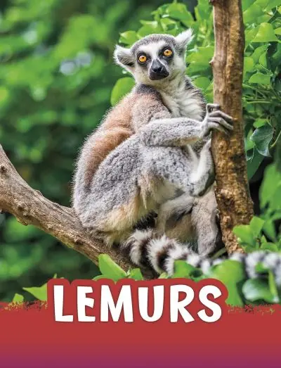 Place Order Lemurs