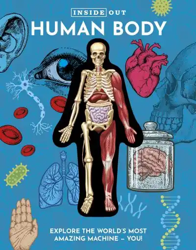 One Day Deal Inside Out Human Body