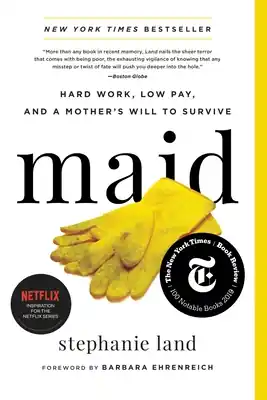 Express Delivery Maid: Hard Work, Low Pay, and a Mother's Will to Survive (Paperback)