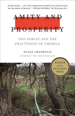 Next Day Delivery Amity and Prosperity: One Family and the Fracturing of America (Paperback)
