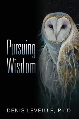 Pursuing Wisdom (Paperback) Express Delivery